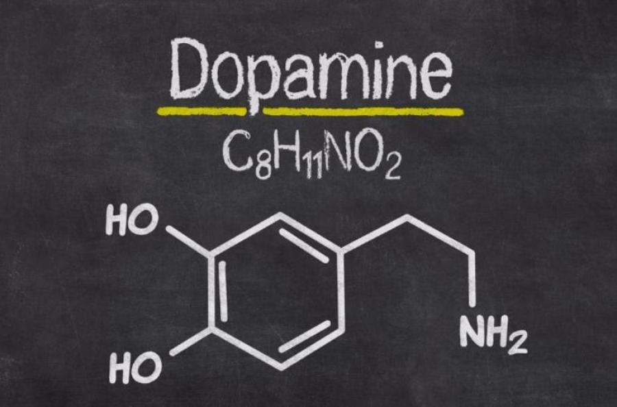 Dopamin Hormonu Nedir?